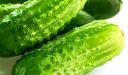 聊城大瓜爆料视频最新,揭秘惊人内幕，真相令人震惊！